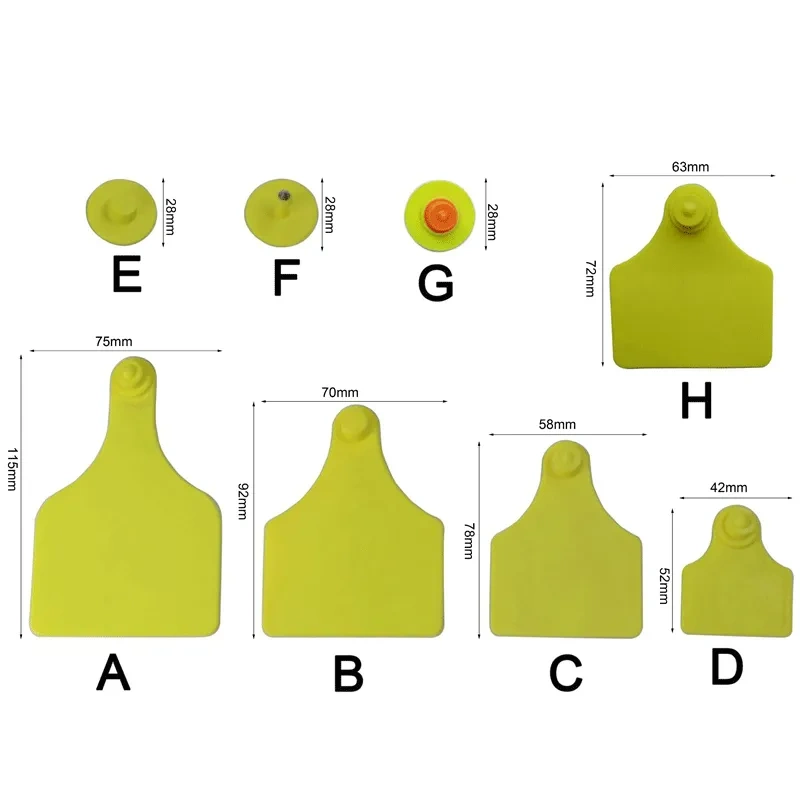 Protective (Insured) Ear Tag Without Laser Printing