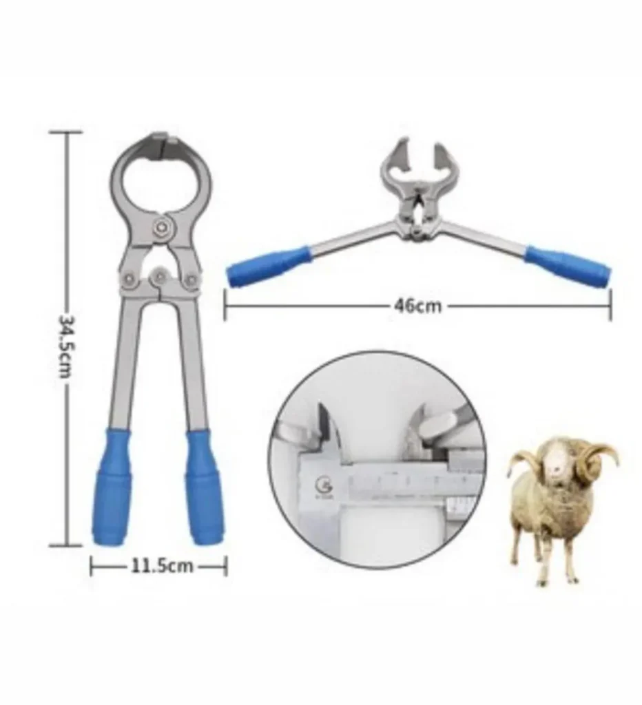 Goat Castration Forceps (Large)